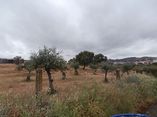 Suelo en Paraje Arroyo de Marta 27