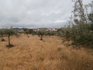 Suelo en Paraje Arroyo de Marta 30