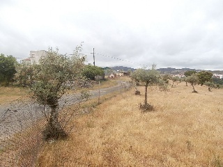 Suelo en Paraje Arroyo de Marta 31