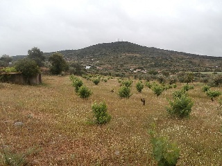 Suelo en Paraje Arroyo de Marta 32