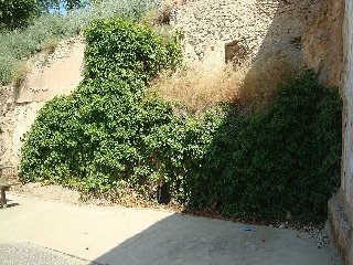 Suelo en Peralta (Navarra) 28