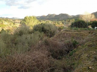 Suelo en C/ Barxeta  3