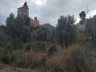 Suelo en C/ La Punta o Fonda 29