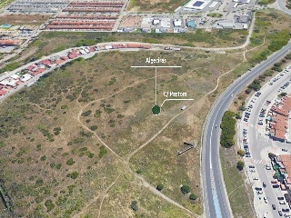 Suelo en C/ Pastora - Algeciras - 12