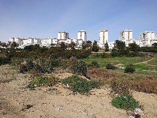 Suelo en C/ Pastora - Algeciras - 14