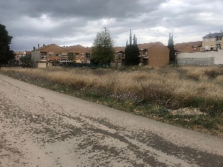 Suelo en Pedrola 23