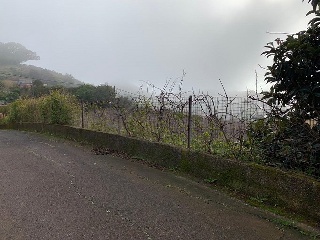 Suelo en El Rosario (Santa Cruz de Tenerife) 15