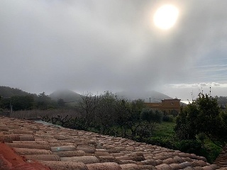 Suelo en El Rosario (Santa Cruz de Tenerife) 16
