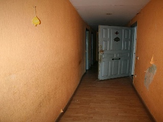 00317-0001 24