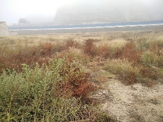 Suelos en C/ Río Jalón, Alfajarín (Zaragoza) 32