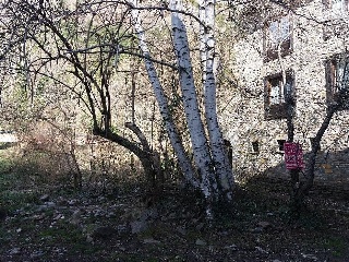 Suelo en C/ Albareda 42