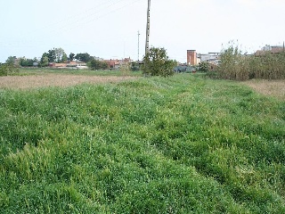 Suelo urbanizable sectorizado en Benavent de Sagrià - Lleida - 34