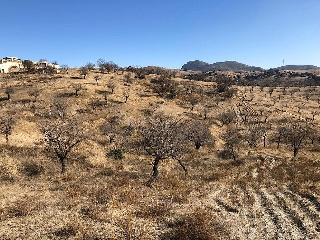 Suelo en Huércal-Overa 31