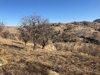 Suelo en Huércal-Overa 33