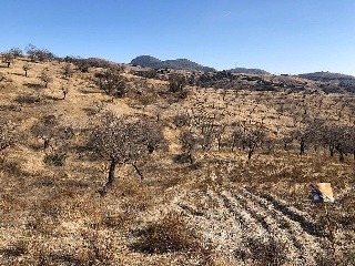 Suelo en Huércal-Overa 34