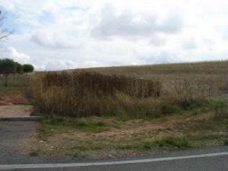 Suelo en C/ Cordel de Merinas de Cham 25