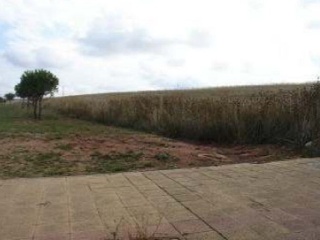 Suelo en Av Juan Pablo II - Salamanca - 24