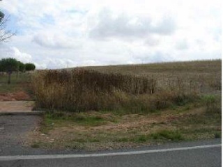 Suelo en C/ Mayor de Chamberí - Salamanca - 24