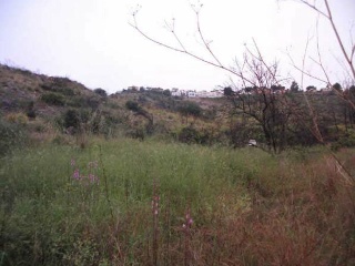 Suelos urbanos no consolidados en Ur. Sierra Perenchiza 24