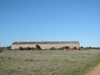 Nave logística en Canal del Barrio 3