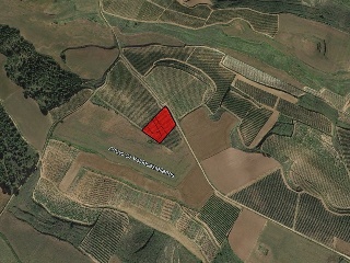 Suelo en Cihuri - La Rioja - 11