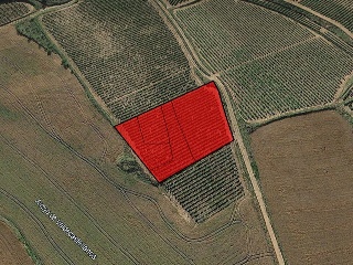 Suelo en Cihuri - La Rioja - 12