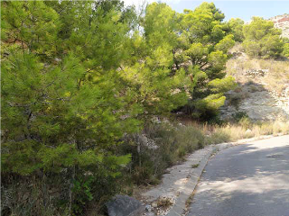 Solares en Urb Sierra de Altea II 36