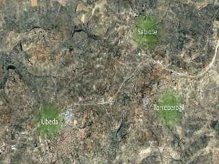 Suelos en Torreperogil 15