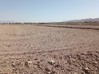 Suelos Rústicos en Lorca 18