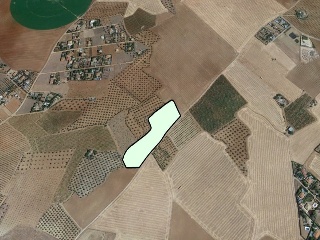 Suelo en Pozuelo de Calatrava (Ciudad Real) 15