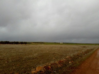 Suelo en Pozuelo de Calatrava (Ciudad Real) 21
