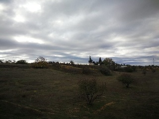 Suelo en C/ Suelo Sapu, Cartaya (Huelva) 12