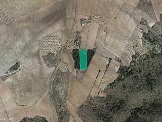 Suelo en Yecla 11