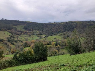 Chalet en Villaviciosa (Asturias) 13