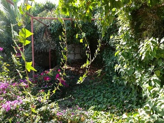 Casa aislada en  paraje de Los Gavilanes 42