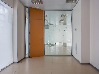 Local comercial en Pz Constitución 39