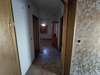 Vivienda en Camí de L´Horta - Ptda Basetes -  24