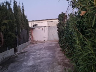 Nave industrial en Pilar de la Dehesa - Lucena -  12