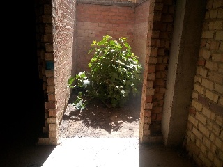 Local comercial en Olivares - Sevilla - 18