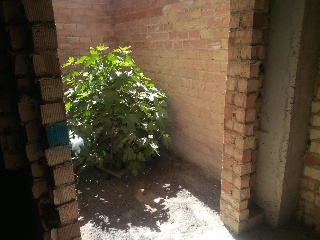 Local comercial en Olivares - Sevilla - 19