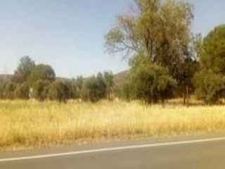 Terreno con edificación en Lg Las Cortinas 14