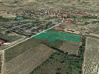 Suelo en San Asensio 6