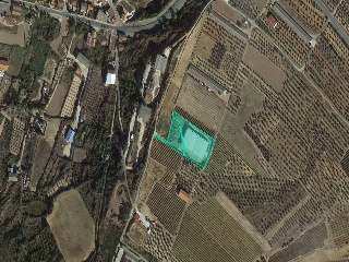 Nave en Olivar de arriba 6