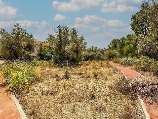Vivienda en C/ Sierra de Cazorla, Carabaña (Madrid) 70