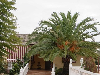Chalet en Vilamarxant (Valencia) 5