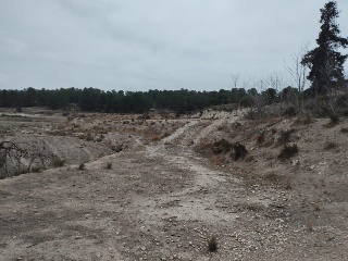 Suelo urbanizable sectorizado en Pt Rincón de Egea - Hoya Redonda - Caravaca de la Cruz  30