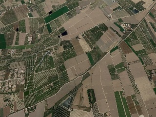 Suelo rústicos en Lg Hacienda Canalobos - El Mudamiento -  Almoradí 10