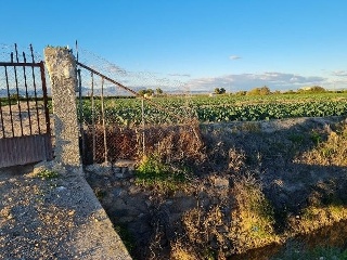 Suelo rústicos en Lg Hacienda Canalobos - El Mudamiento -  Almoradí 13