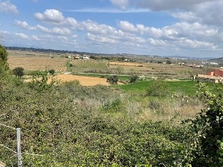 Solar en UR Pla del Cavalls, Pacs del Penedès (Barcelona) 14