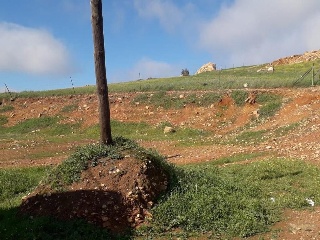 12710-0001 13